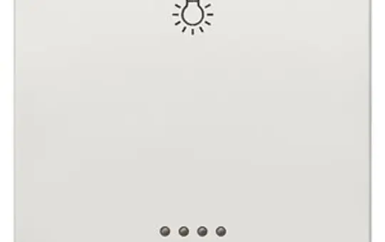 SIEMENS 5TG7146 described control rocker Delta style 1-fach, Licht | TIW