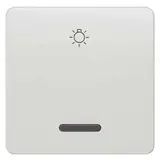 SIEMENS 5TG7806 described control rocker Delta profile 1-fach, Licht | TIW