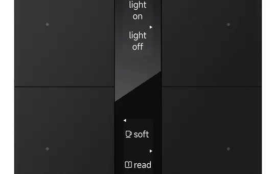 GVS CHPBD-04/24.2.11 KNX pushbutton sensor S series 2-fach, Display Spiegelglas | SW