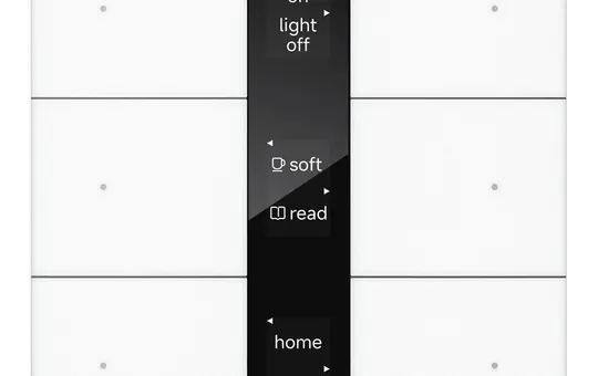 GVS CHPBD-06/36.2.10 KNX pushbutton sensor S series 3-fach, Display Spiegelglas | W