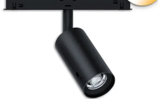 ISOLED 117086 DALI track spotlight for Track48 NV 8 W, ColorSwitch, 18-50° | SW