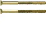 HAGER WZA9092 Two-hole screws System TS 2 x M3,5 x 50 mm | GOg