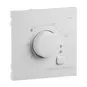 morepic-2