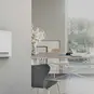 morepic-2