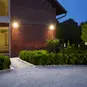 morepic-3