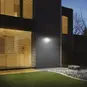 morepic-4